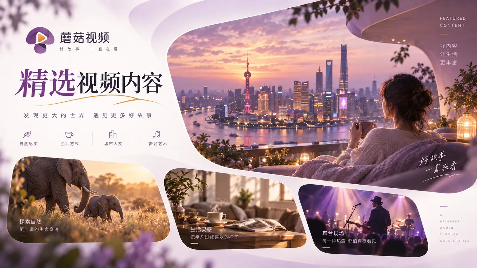 蘑菇视频在线观看内容索引示意
