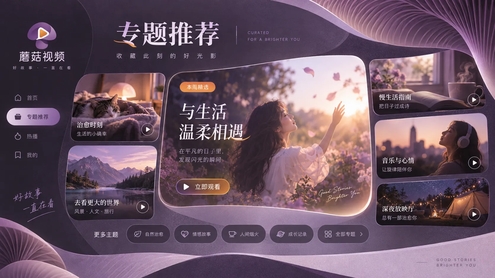 影视剧集追看节奏与人物关系整理